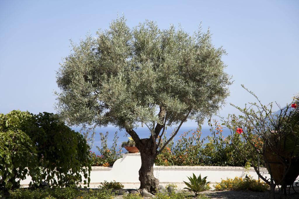 Hotel Villa Enrica - Aeolian Charme Città di Lipari Esterno foto