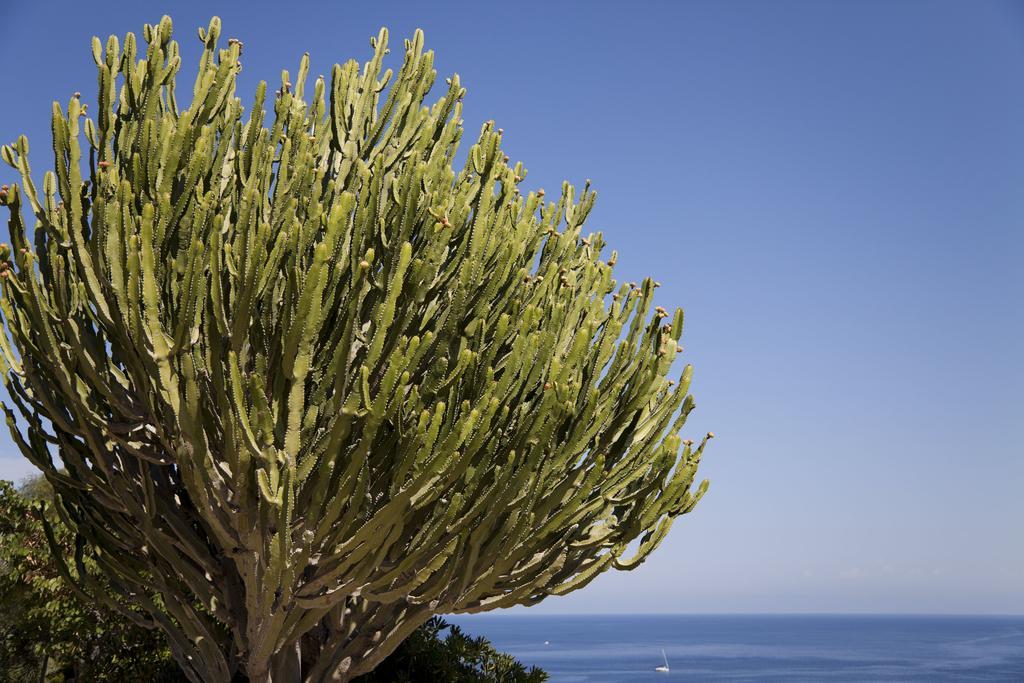 Hotel Villa Enrica - Aeolian Charme Città di Lipari Esterno foto